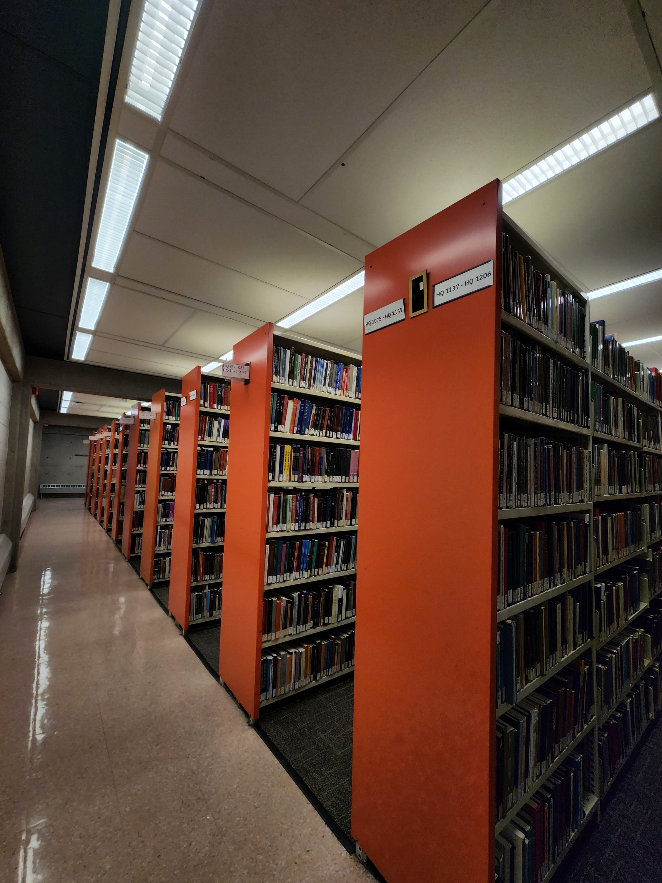 a library with than thousand books