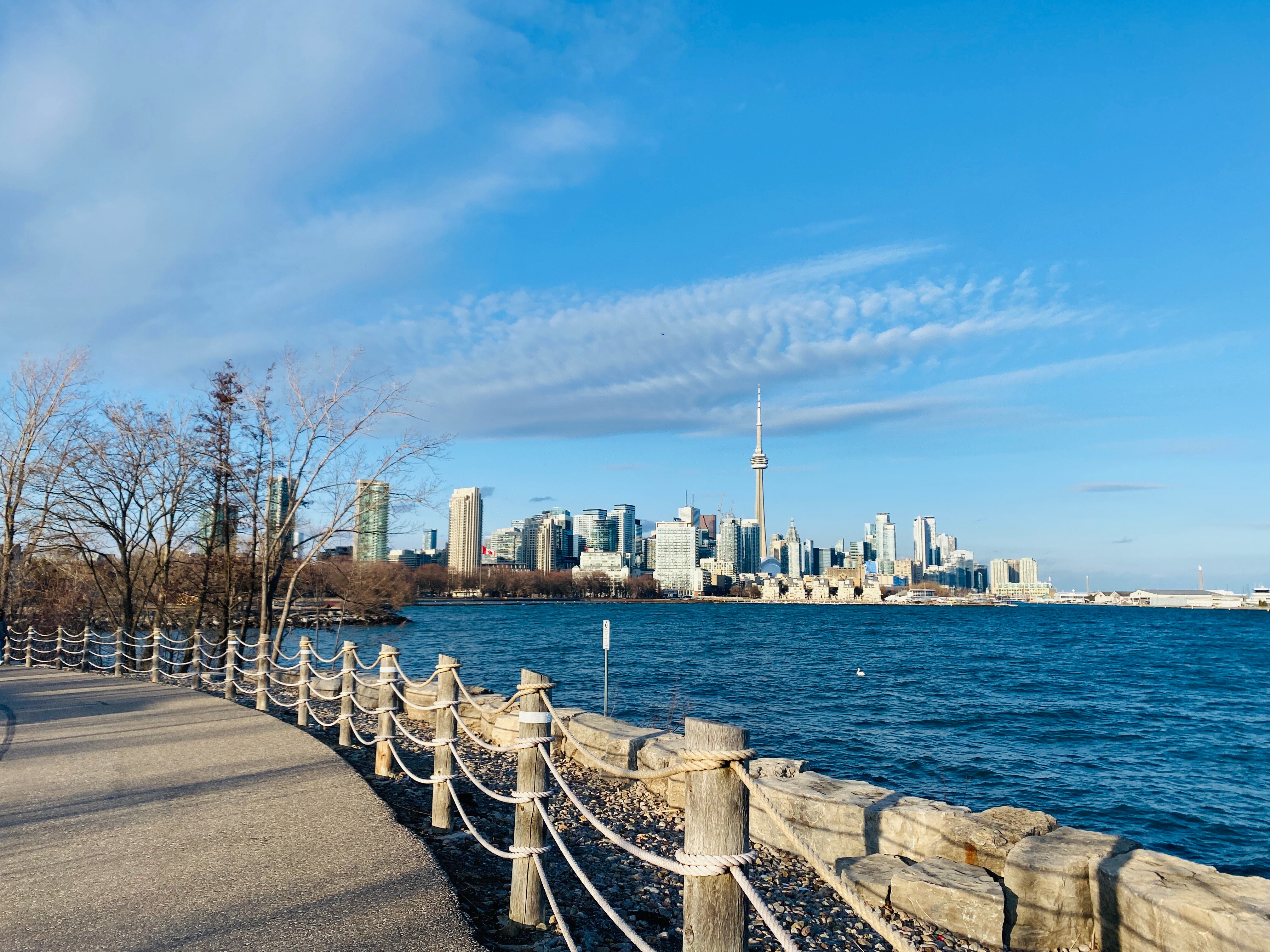 Toronto's skyline from the waterfront, prominently displaying the CN Tower amidst the cityscape.