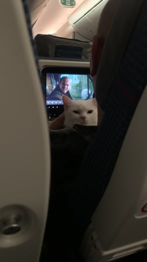 Flying with the cutest passenger on board from Delhi to Toronto