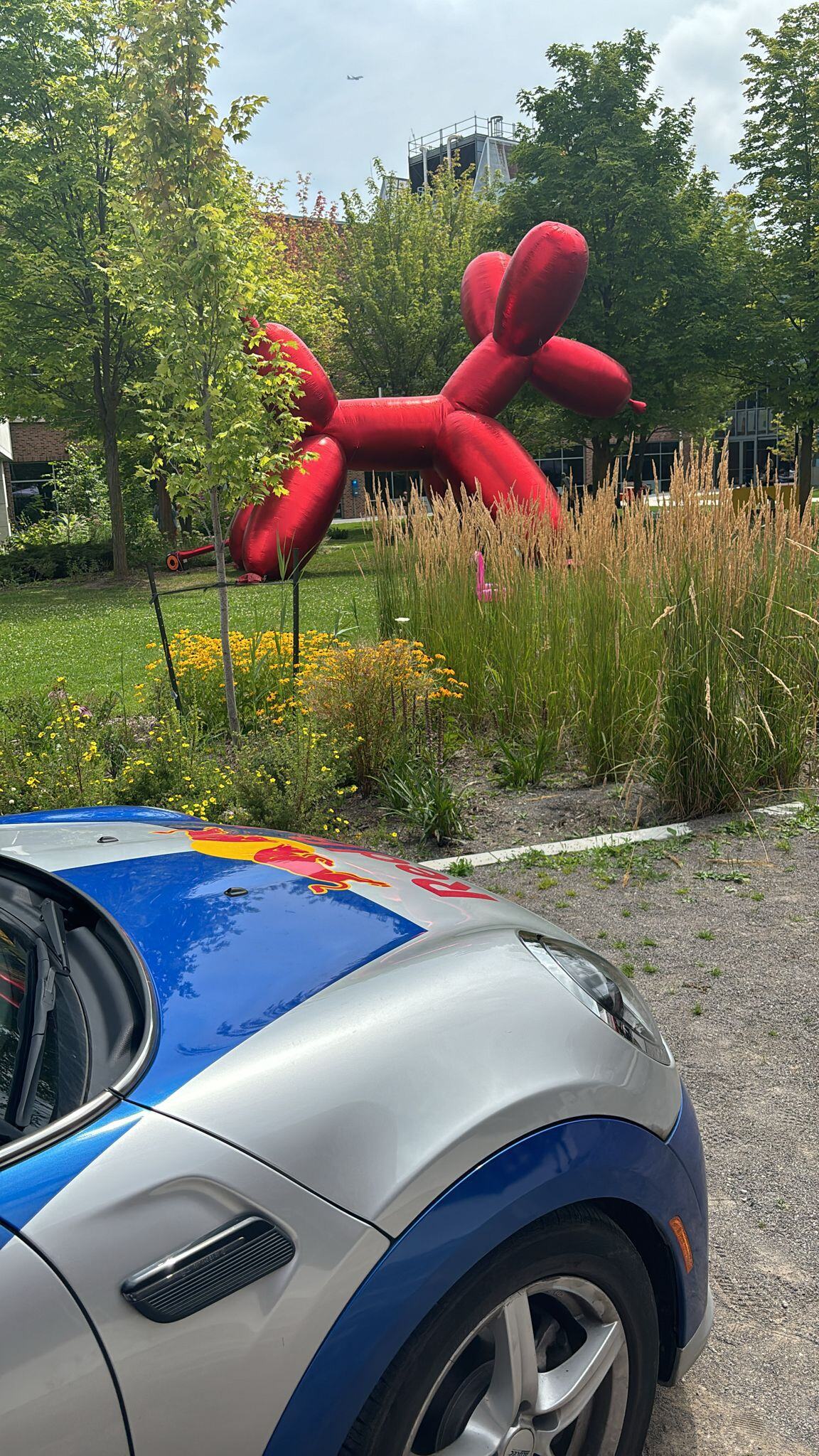 An event at Seneca College with a big red balloon dog statue in a park, surrounded by green trees and plants. A colorful car with a Red Bull logo is parked in the front.