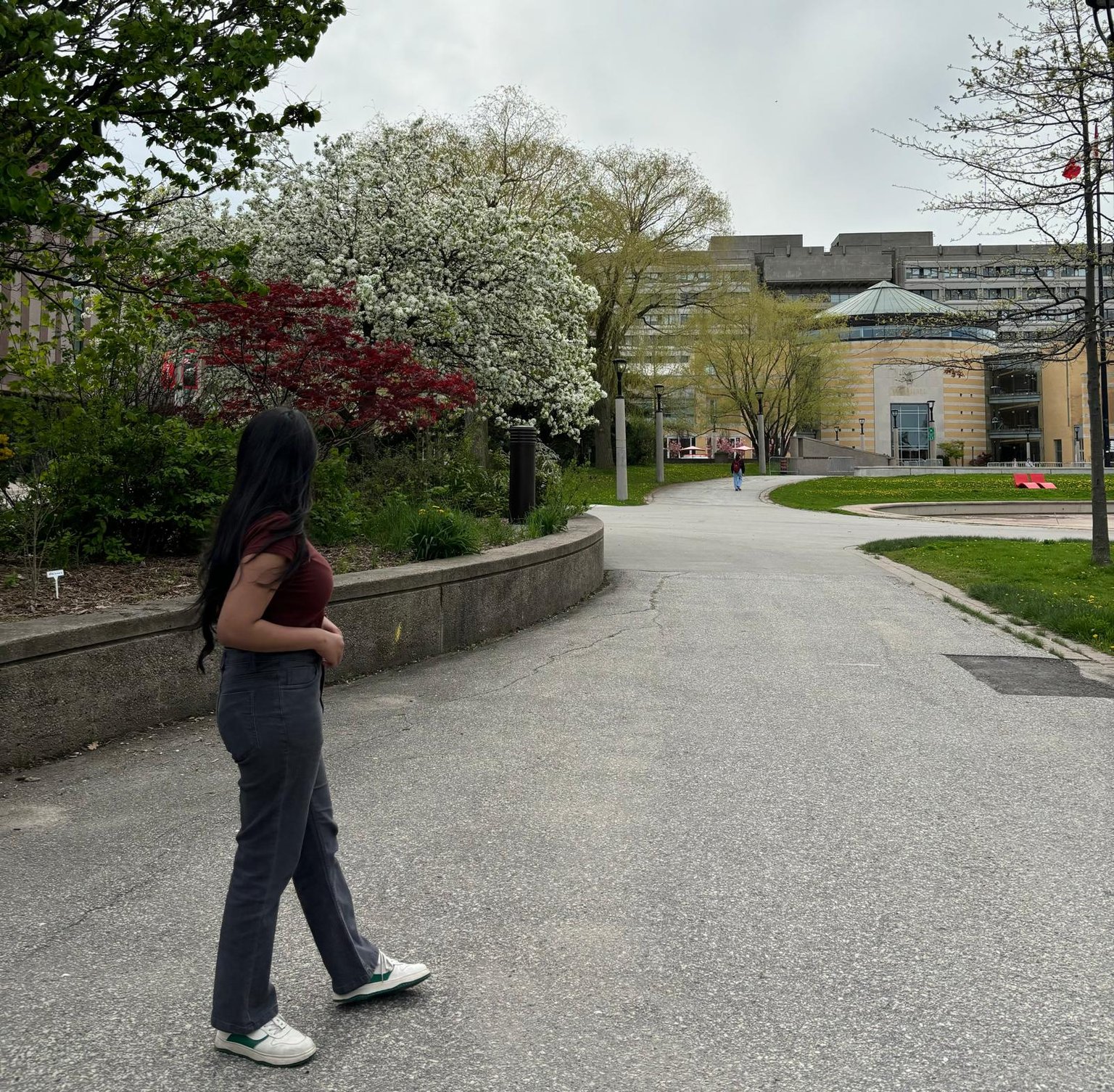 The image shows myself walking on a paved path through a green, tree-filled area in York university campus.  long dark hair and is wearing a maroon top, dark gray pants, and white sneakers. The trees are in full bloom with white and red flowers, and in the distance, there is a large building with modern architecture, a university facility. The scene appears calm and serene, with a person visible from a distance.