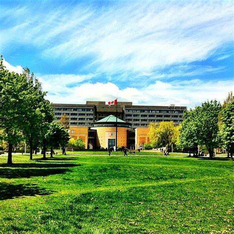YOrk Uni Green