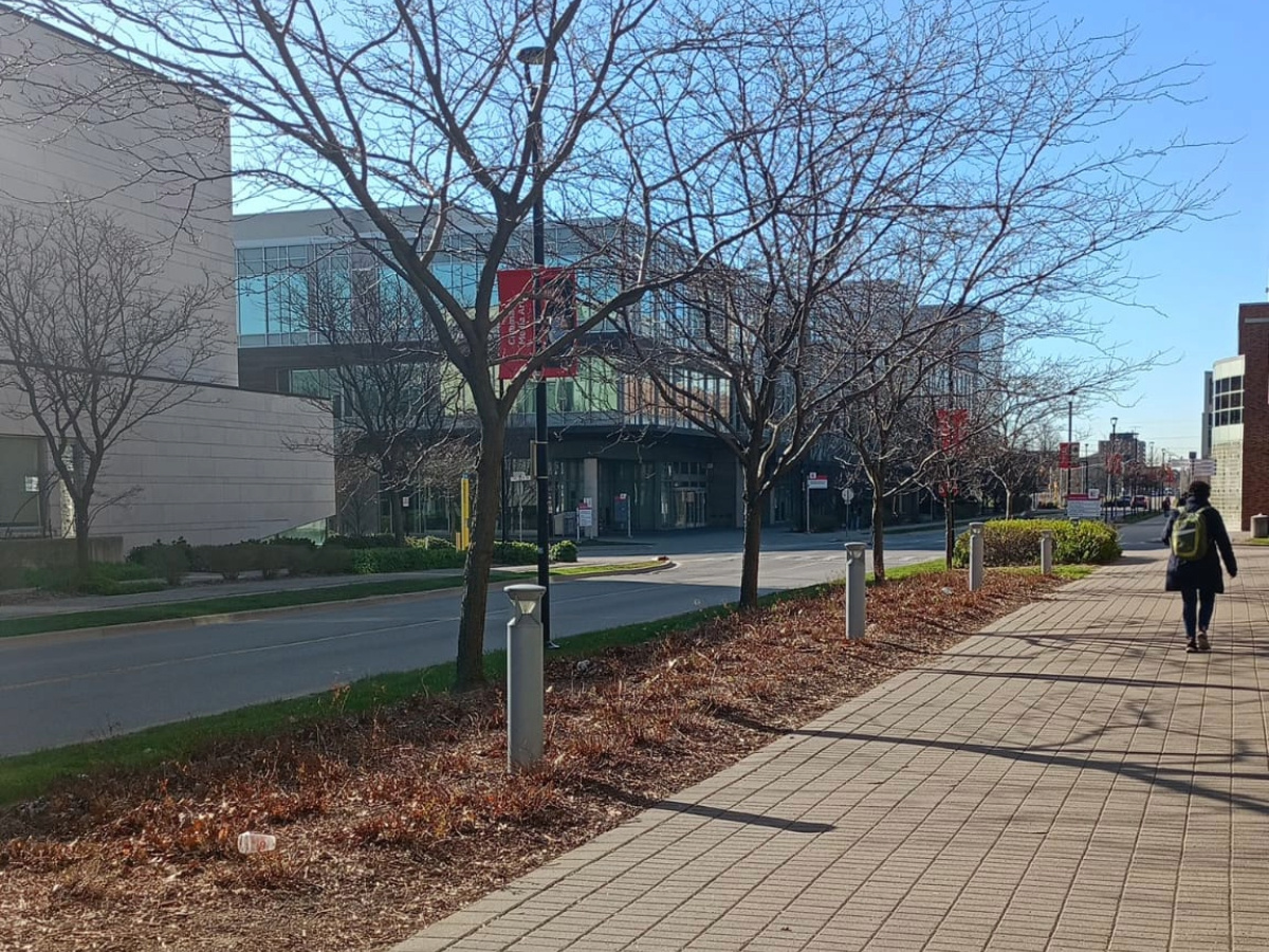 A path towards school of continuing studies. A sunny weather in the frame with tress and buildings. There is also a roads on the left side of the frame.