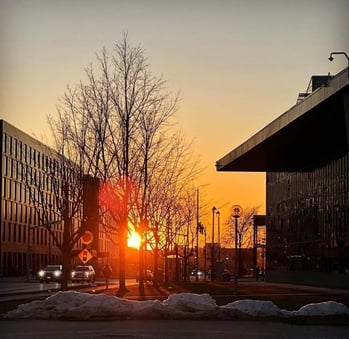 Sunset over the York University campus just outside of the SCS building with silhouettes of building and bare trees with light snow