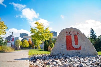 "York University entrance sign on a bright sunny day, with the university's logo prominently displayed on a large rock, surrounded by greenery and campus buildings in the background."