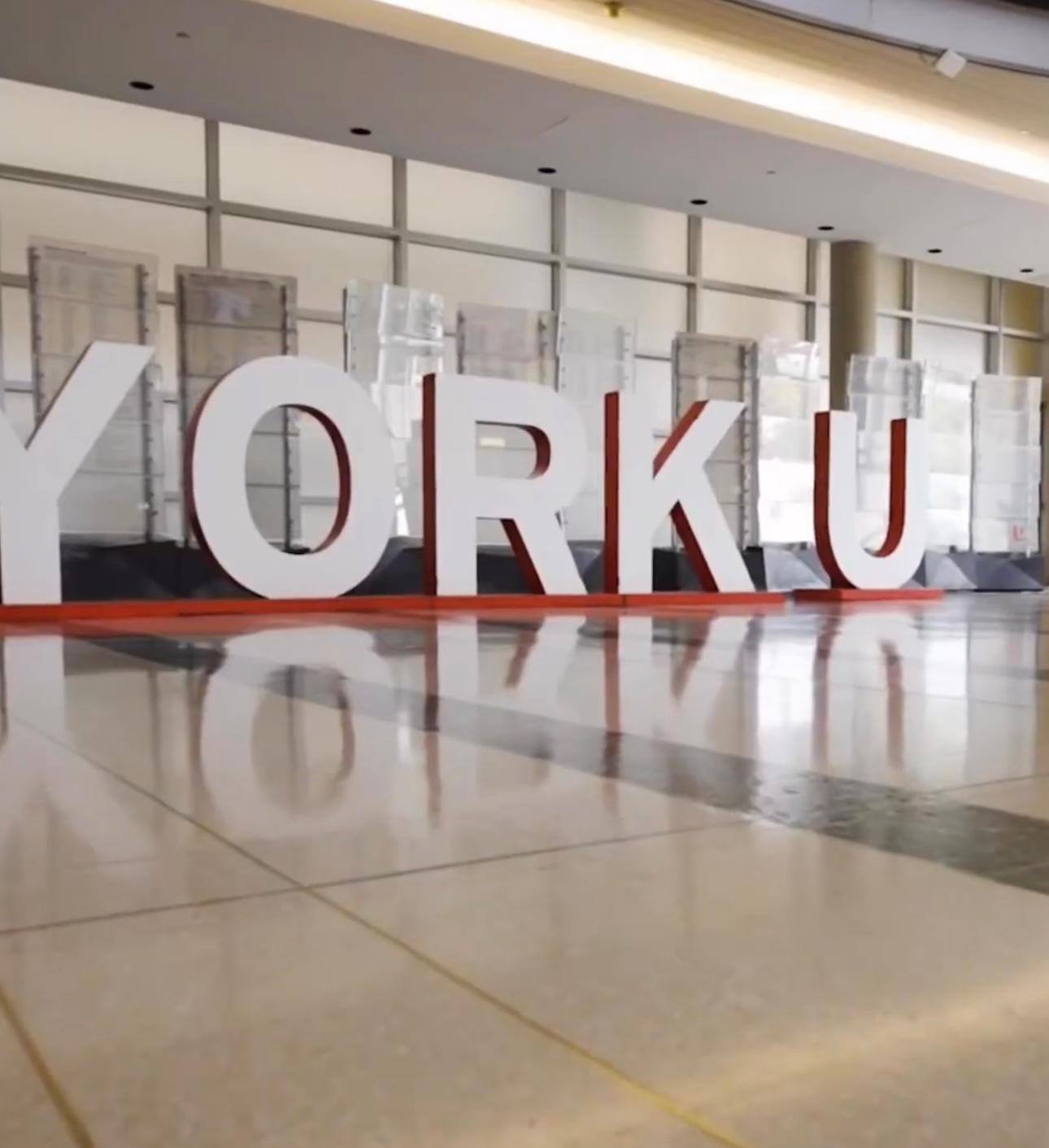 York University logo 