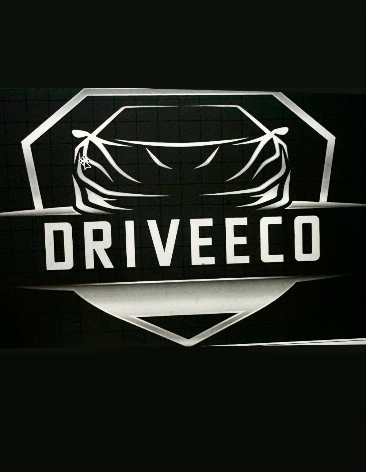 DriveEco Logo